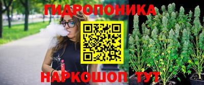 стаф Ярославль
